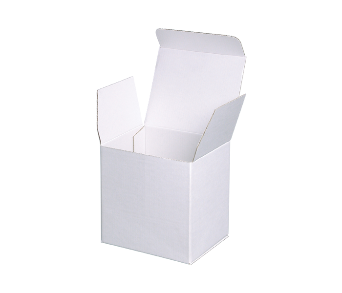 Polystyrene Mailer Box